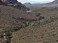 Calico Hills burned gully 1