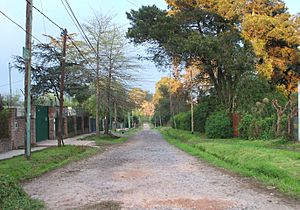 Archivo:Calle Gelly Obes - panoramio