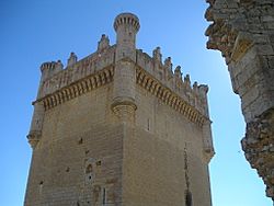 Archivo:Castillo de Belmonte de Campos-Detalle