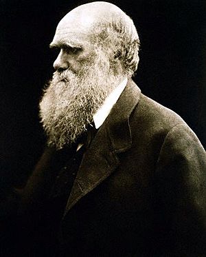 Archivo:Charles Darwin by Julia Margaret Cameron
