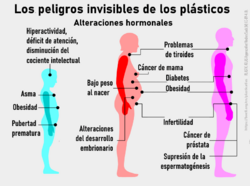 Archivo:Dangers hormonaux du contact quotidien avec le plastique-es