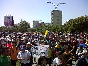 Archivo:Demostration 12F in Venezuela 2014 6