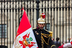 Archivo:Escolta presidencial, Plaza de Armas, Lima, Perú, 2015-07-28, DD 39