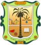 Escudo de Casimiro Castillo.png