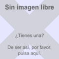 Falta imagen