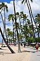 Hilton Hawaiian Village boardwalk Oahu Hawaii Photo D Ramey Logan
