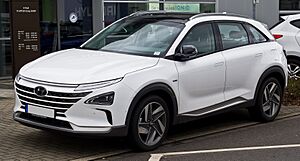 Archivo:Hyundai Nexo – f 16032019