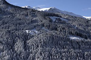 Archivo:KleinarlWinterwonderland