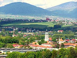 Kotlina Żywiecka - panoramio.jpg
