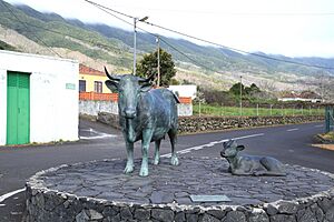 Archivo:La Palma - Brena Alta - Carretera San Isidro+Camino La Travesia - Vaca Raza Palmera (Francisco de Armas) 03 ies