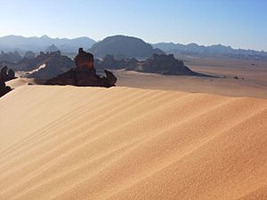 Archivo:Libyan Desert - 2006