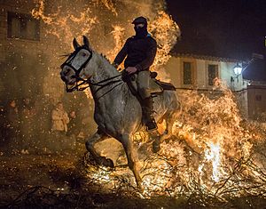 Archivo:Luminarias- caballos sometidos al fuego (23851169404)
