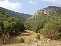 MountCarmel1
