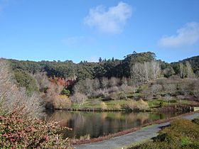 Mt Lofty Botanic Gardens.JPG