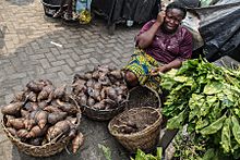Archivo:Nigeria snails2