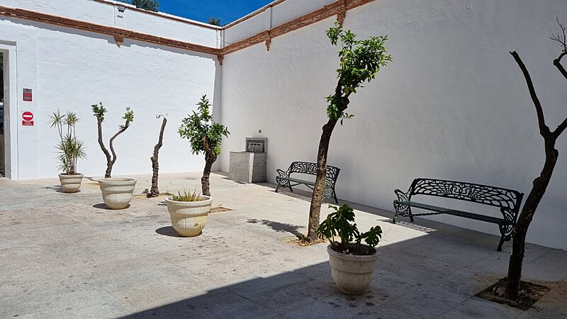 PatioNaranjos1 20240507