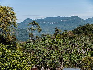 Archivo:PenasBlancas, part of the Bosawas Reserve, Jinotega Department, Nicaragua