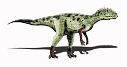 Piatnitzkysaurus NT.jpg
