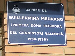 Archivo:Placa calle guillermina medrano