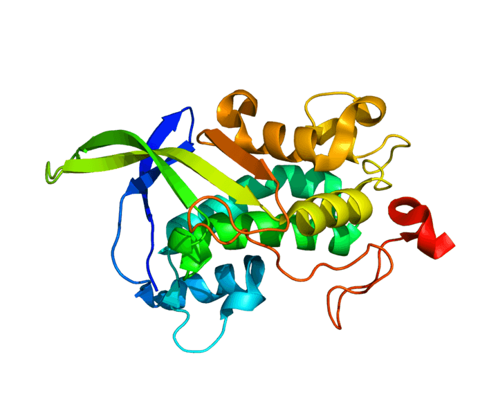 Protein NPC1 PDB 3GKH
