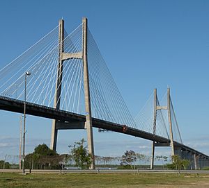 Archivo:Puente Rosario-Victoria 2010