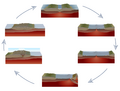 Rock cycle in Wilson Cycle
