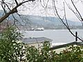 Rosneath, Juno & Saturn 24410