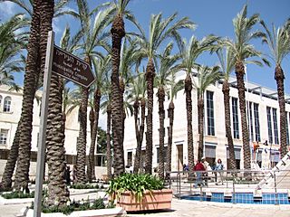 Safra Square palms.jpg