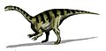 Sellosaurus