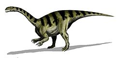 Sellosaurus.jpg