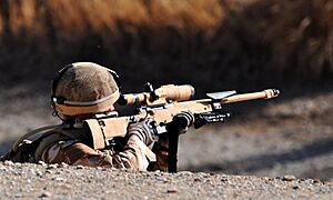 Archivo:Sniper Aims L115A3 Rifle MOD 45151384