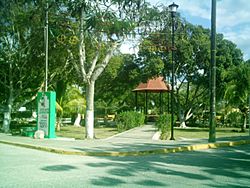 Sodzil Norte, Yucatán (01).JPG