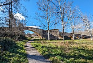 Archivo:Talamanca de Jarama, puente antiguo 02
