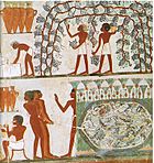 Archivo:Tomb of Nakht (12)