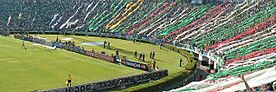 Archivo:Torcida do Palmeiras-2007