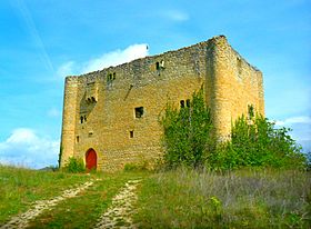 TorreDeLosBonifazLomana pregamma 1 mantiuk contrast mapping 1 saturation factor 1.611 detail factor 1.jpg