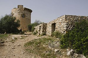 Archivo:Torre del Cap Andritxol-pjt
