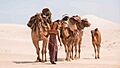 Tracks, il film che racconta del viaggio di una donna attraverso il deserto australiano