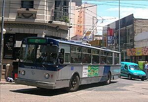 Archivo:Trolebus - Cordoba