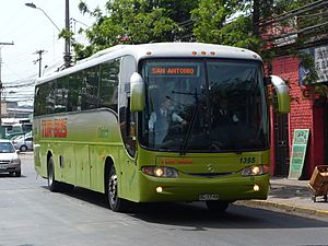 Archivo:Tur Bus 1395
