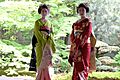 Two young maiko in Seirai-in Temple 02