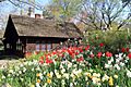 USA-NYC-Central Park-Shakespeare Garden
