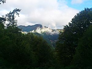 Archivo:Valle de Degaña montañas