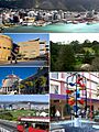 Wellington photo montage