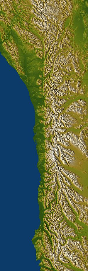 Archivo:Alpine Fault SRTM (vertical)