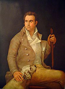 Antonio de Porcel by Goya.jpg