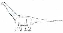 Aragosaurus LM.png
