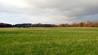 Archivo:Argleton, view from Bold Lane