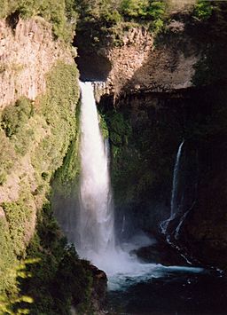 Archivo:Bride's Veil Waterfall Parque Ingles Chile1