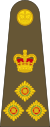 British Army OF-6.svg